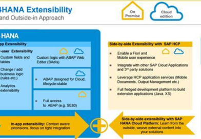 SAP S/4 HANA Extensiblity